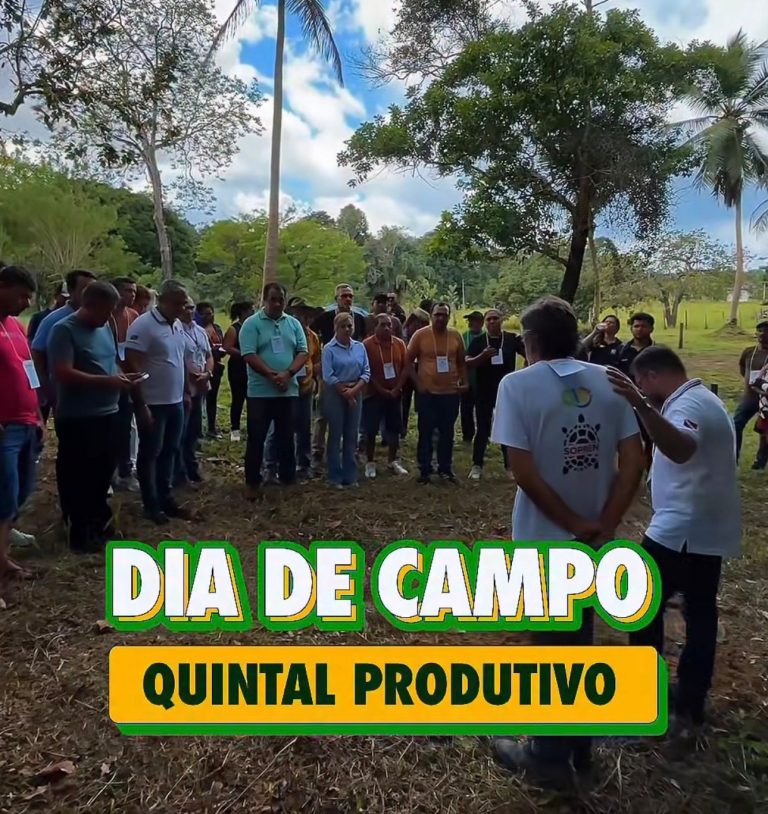 DIA DE CAMPO DO QUINTAL PRODUTIVO ENCERRA PROGRAMAÇÃO DO JUNHO VERDE EM BRAGANÇA
