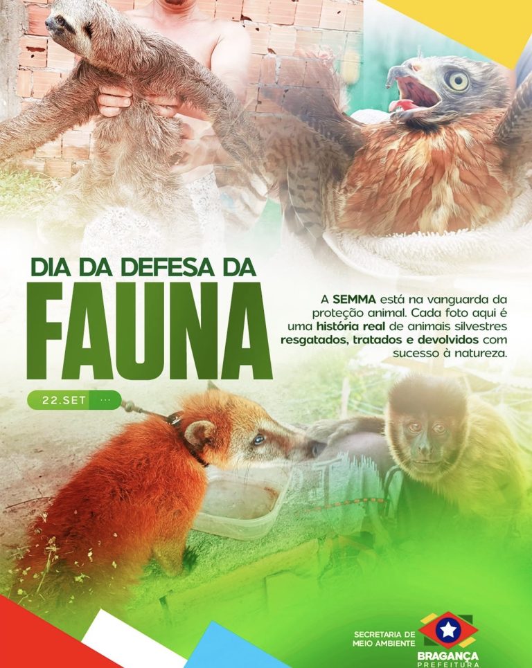 Dia da Defesa da Fauna reforça a importância da proteção aos animais silvestres
